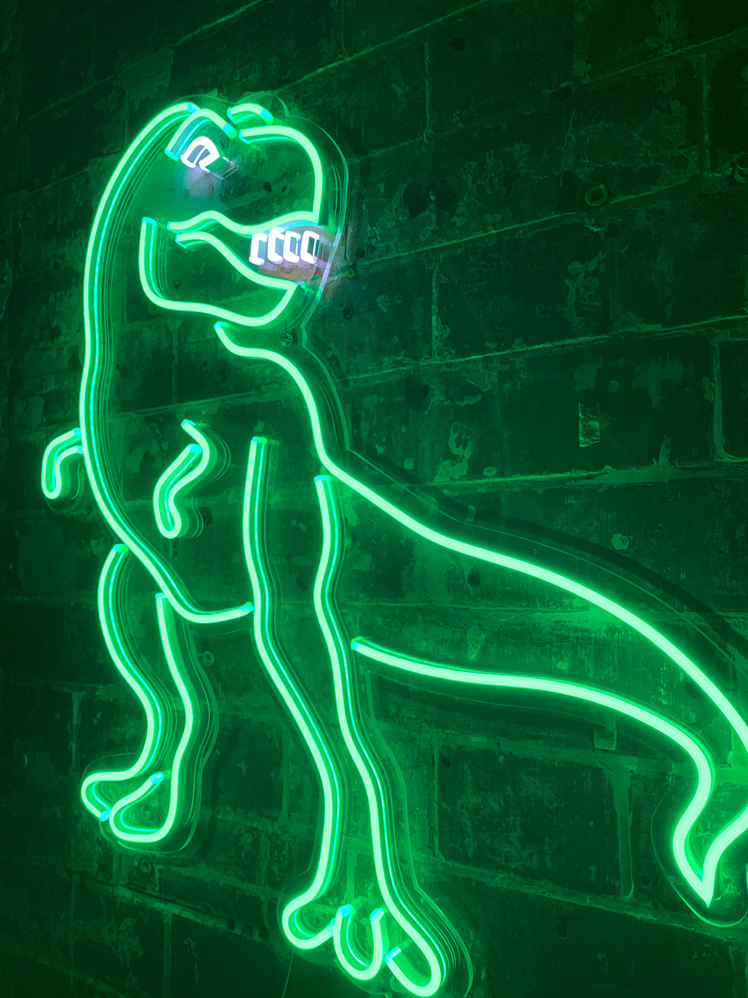 'Dinosaur' Green Neon LED Wall Mounted Sign
